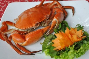 Nhà Hàng New 62 Restaurant - Hải Sản Tươi Sống