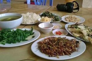 Nhà Hàng Phố Núi - Lẩu Gà & Dê Núi