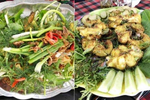 Nhà Hàng Phương Dung - Lẩu Cá Lăng