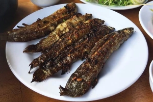 Nhà Hàng Song Trúc