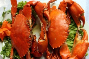 Nhà Hàng Tân Cảng Restaurant - Hải Sản Tươi Sống