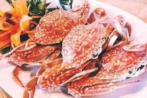 Nhà Hàng Thanh Bình Seafood - Sầm Sơn
