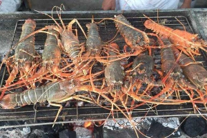 Nhà Hàng Thành Phát - Vựa Hải Sản Tươi Sống
