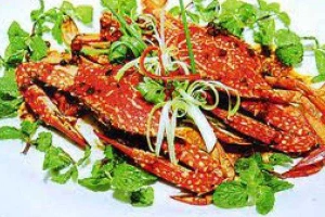Nhà Hàng Thiên Phúc