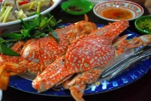 Nhà Hàng Thương Thảo - Bar & Restaurant