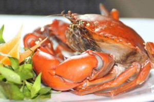Nhà Hàng Tiệc Cưới Thùy Trang