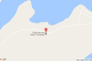 Nhà Hàng Trang trai sau rieng 7 vung tau