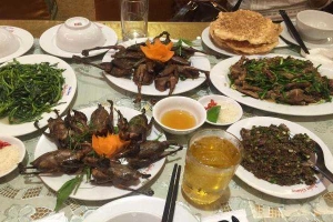 Nhà Hàng Tuấn Giang - Ẩm Thực Vùng Miền
