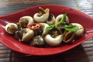 Nhà Hàng Vườn Cau