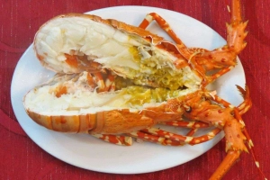 Nhà Hàng Vườn Thông - Đặc Sản & Hải Sản Hạ Long