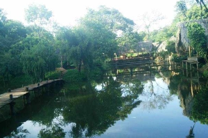 Nhà Hàng YangSin - Ẩm Thực Tây Nguyên