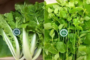 Nhà Mình Food - Thực Phẩm Tươi Sống - Shop Online