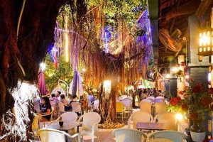 Nhạc Hoa Viên Cafe - Đại Lộ Hùng Vương
