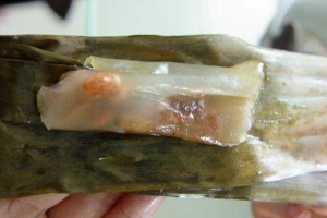 Nhì Huế - Bánh Lọc & Tôm Chua - Shop Online