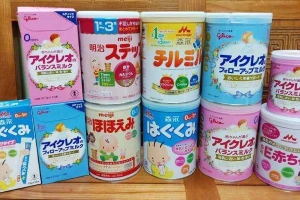 Nhím Mỡ - Đồ Ăn Cho Bé - Shop Online