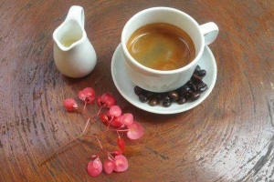 Nomad Cafe