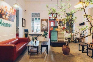 Ơ Zone - Films, Art & Coffee