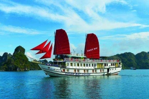 Oasis Bay Cruises
