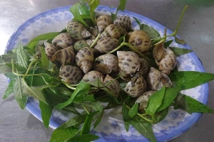 Quán Ăn Ốc Béo