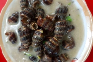 Quán Ăn Ốc Bình Dân - Khánh Hội