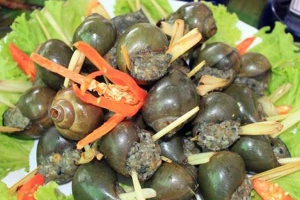 Quán Ăn Ốc Bươu Trộn - Trần Cao Vân