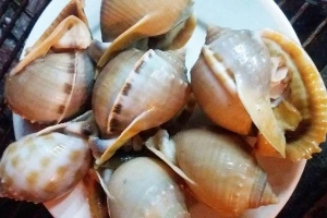 Quán Ăn Ốc Gành Son