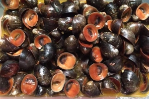 Quán Ăn Ốc Hạnh Hí