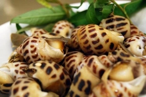 Quán Ăn Ốc Hương - Tháp Bà