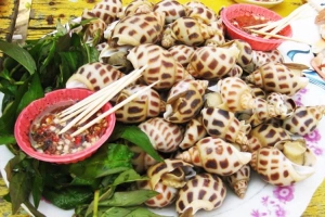 Quán Ăn Ốc Liên - Trương Quốc Dung