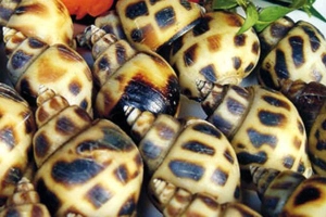 Quán Ăn Ốc Long Hải