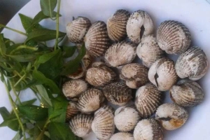 Quán Ăn Ốc Nguyên 1 - Phan Xích Long