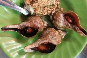 Quán Ăn Ốc Nốc - Đặc Sản Ốc