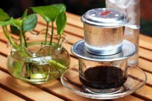 Panda Cafe
