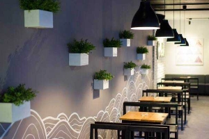 Paradise Garden Coffee - Yersin