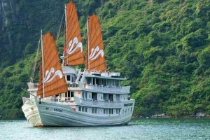 Paradise Luxury Cruise - Tuần Châu