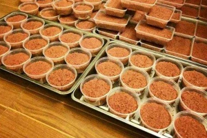 Pate Khánh Ly - Shop Online