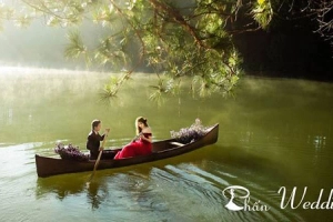Phấn Wedding