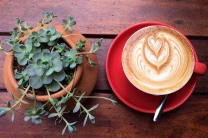 Phin Coffee - Espresso And Drip