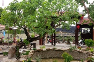 Nhà Hàng Phố Cổ Cafe & Restaurant - Phan Đăng Lưu