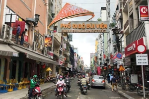 Phố Đi Bộ Bùi Viện