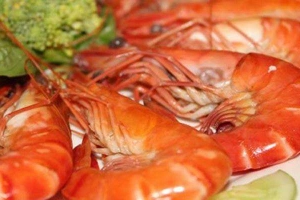 Phố Đôi - Nhà Hàng Tiệc Cưới