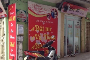 Phúc Mi - Đoàn Thị Điểm