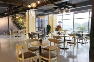 Phyto Cafe