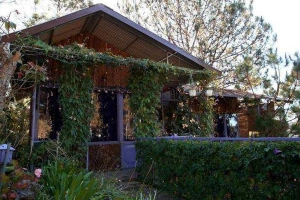 Pine Hill Homestay Dalat