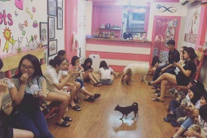 PNE Coffee - Cafe Thú Cưng