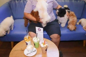 Poodle House Coffee - Phan Đình Phùng
