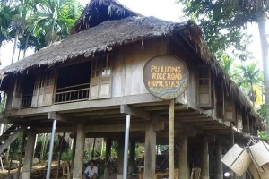 Puluong Riceroad Homestay