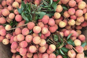 Quà Quê Lên Phố - Shop Online