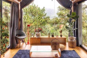 Quả Thông Lớn Homestay