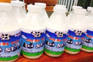 Quán Ăn Bò Sữa - Sữa Bò Tươi